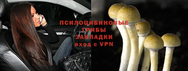 a pvp Богданович