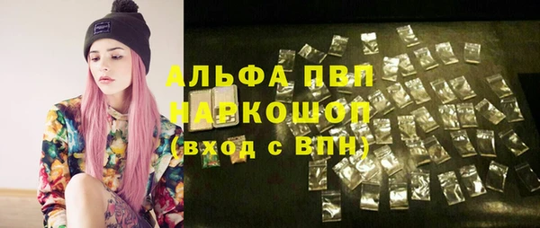 a pvp Богданович