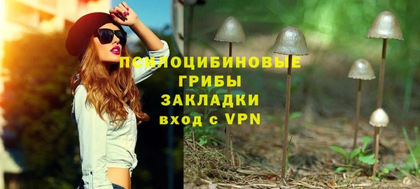 a pvp Богданович